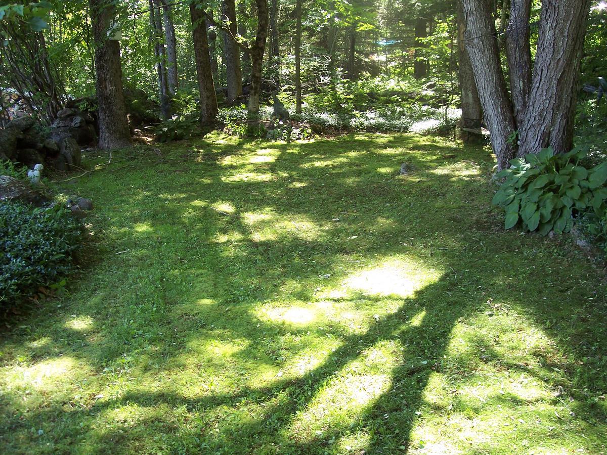 Hummingbird Hill Bed & Breakfast Stoddard Exterior foto