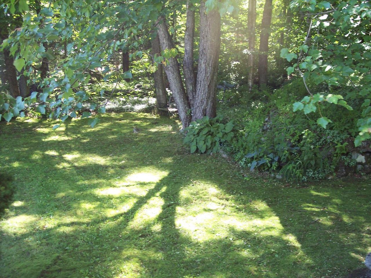Hummingbird Hill Bed & Breakfast Stoddard Exterior foto